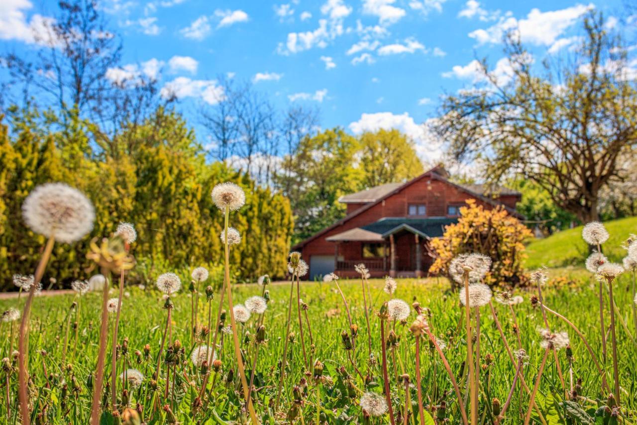 Amigosranch Villa Kruševac Exteriör bild