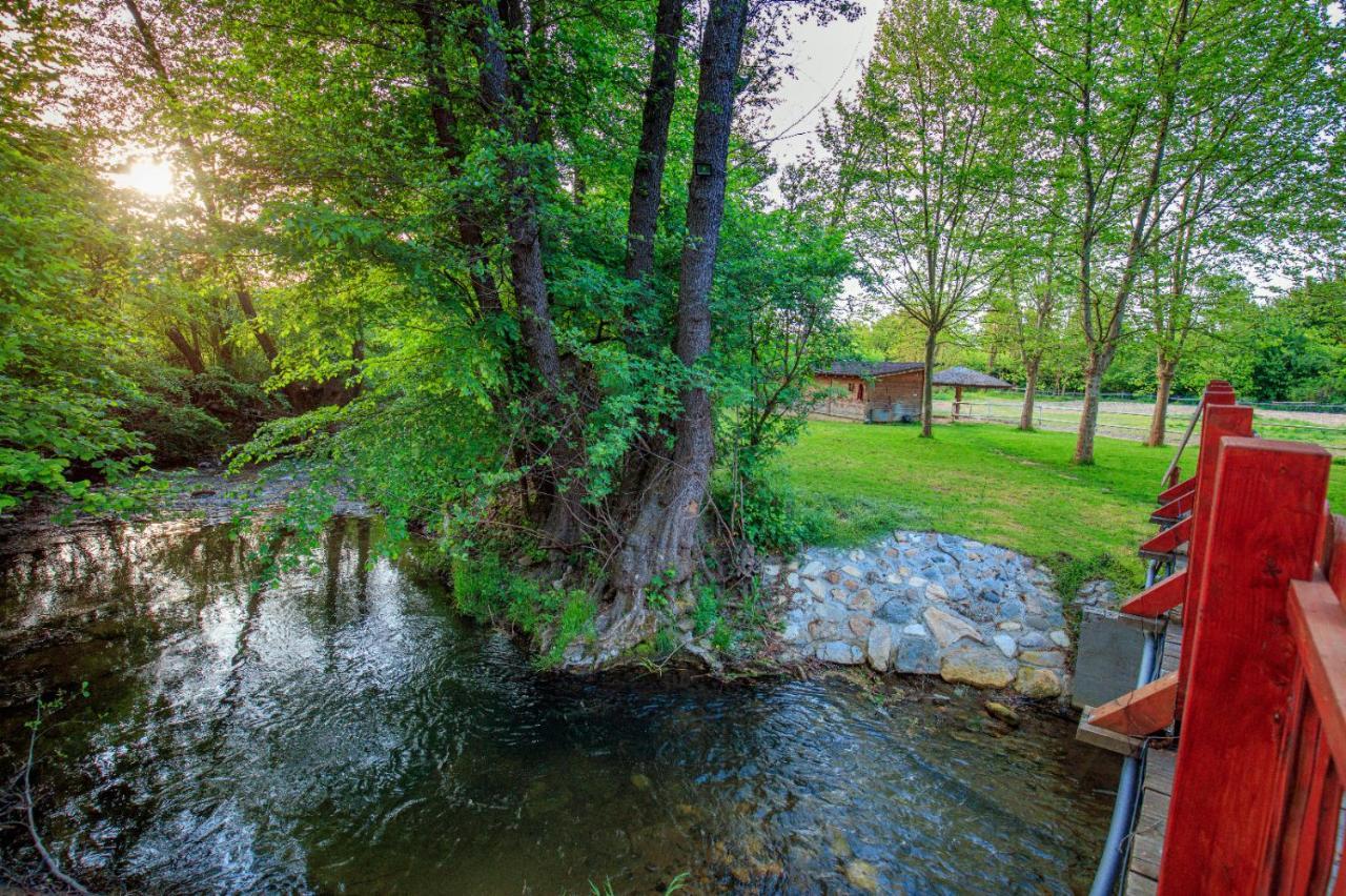 Amigosranch Villa Kruševac Exteriör bild